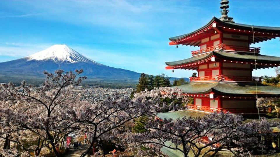 From Tokyo: Customizable Mount Fuji Full-Day Private Tour - Tour Details and Convenience