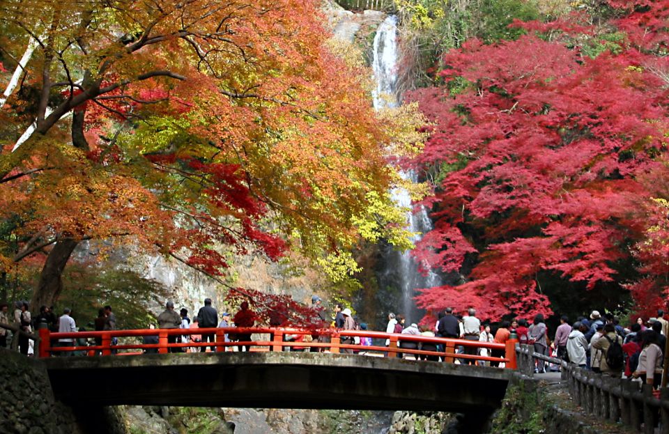 The BEST Osaka Tours and Things to Do in  - FREE Cancellation - Quick Takeaways