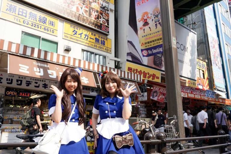 Tokyo: Akihabara Hour Guided Walking Tour Quick Takeaways