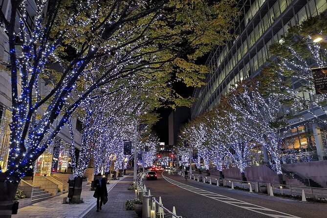 Tokyo Christmas Tour With a Local Guide: Private & Tailored to You Quick Takeaways