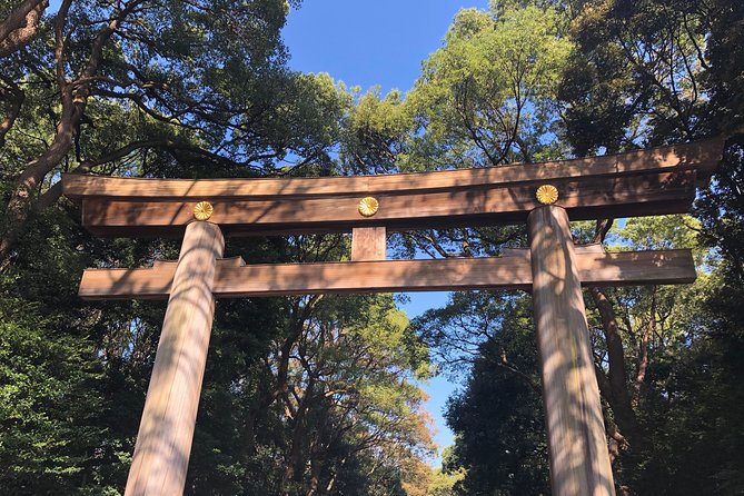 Tokyo Half-day Customized Private Tour - Quick Takeaways