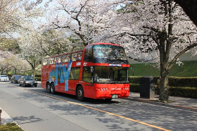 Tokyo Hop on & Hop off Bus Quick Takeaways