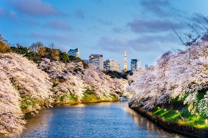 Tokyo Private Full-Day Landmark Tour, by Car, Custom Itinerary - Drivers Background