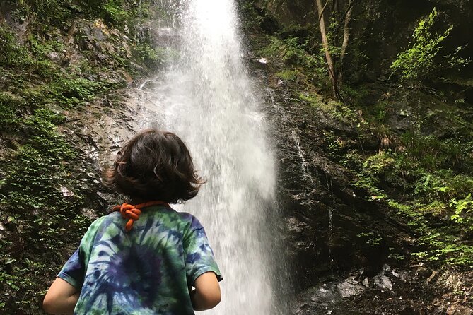 Tokyo Seasonal Peaks Discovery - Quick Takeaways