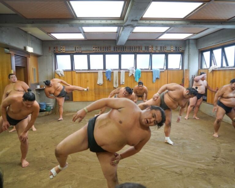 Tokyo: Sumo Wrestler&#s Morning Practice Ticket and Tour Activity Details and Benefits