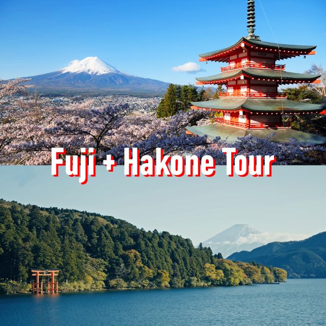 Tokyo to Mount Fuji and Hakone Private Full day Tour Quick Takeaways