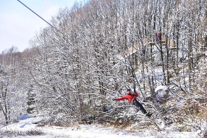 Winter Zipline and Snowshoe Adventure - Quick Takeaways